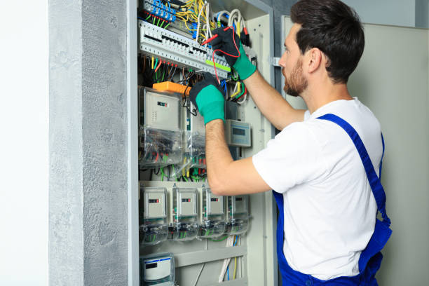Best Electric Panel Repair  in Talahi Island, GA